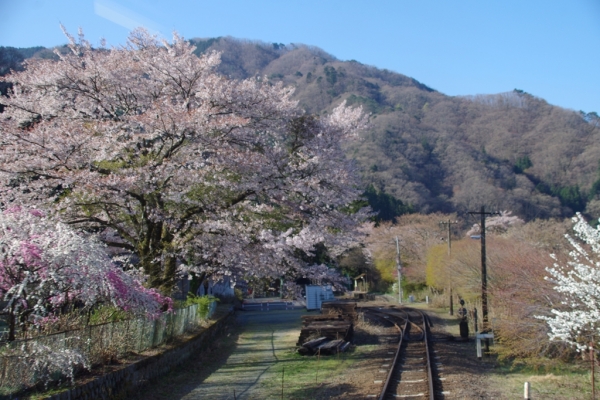 沢入駅