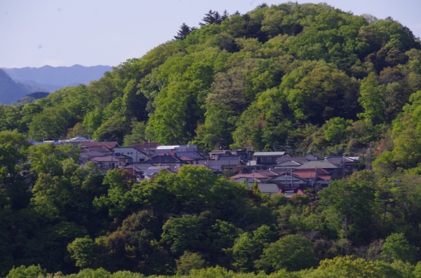 初沢山(初沢城址)と紅葉台住宅