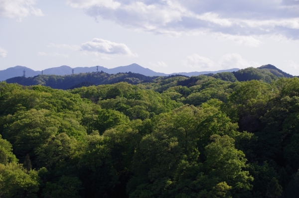 丹沢の山々や東高尾山稜あたり
