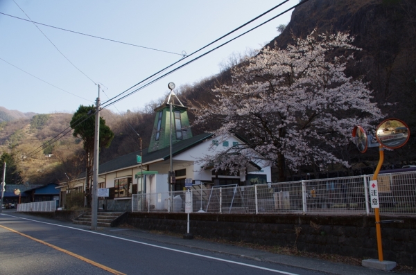 間藤駅と桜