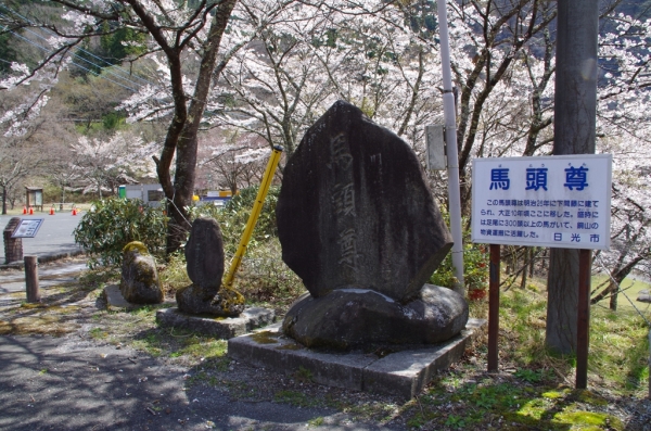 馬頭尊