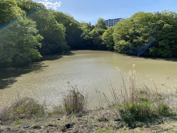 館ヶ丘団地の貯水池