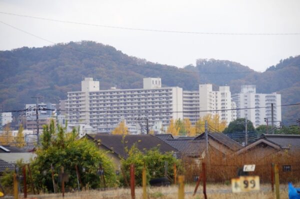 いちょう祭り~御陵線跡地~三軒在家稲荷神社~長房南アパート~斉藤製作所
