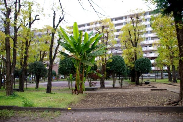 いちょう祭り~御陵線跡地~三軒在家稲荷神社~長房南アパート~斉藤製作所