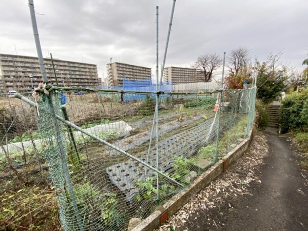 いちょう祭り~御陵線跡地~三軒在家稲荷神社~長房南アパート~斉藤製作所