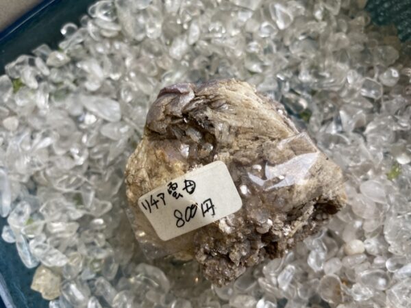 いちょう祭り~御陵線跡地~三軒在家稲荷神社~長房南アパート~斉藤製作所