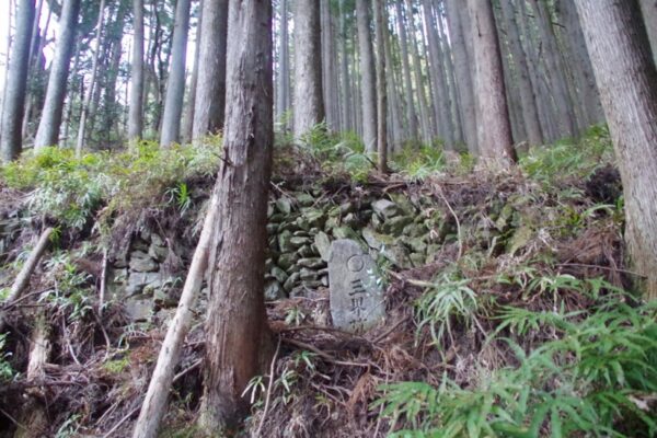 三界萬霊