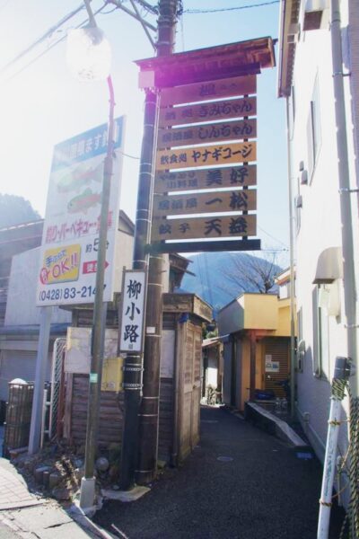 柳小路
