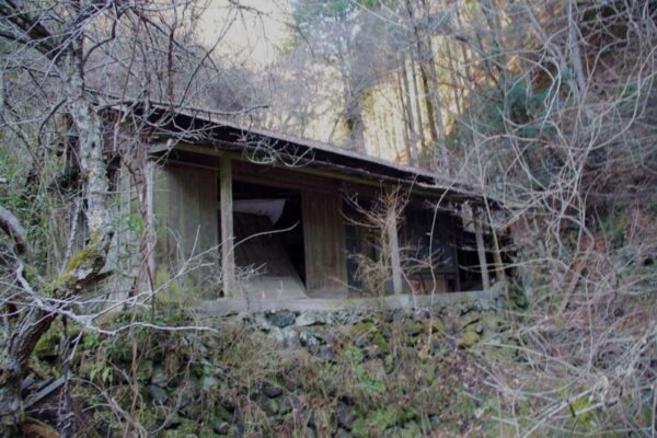 山に溶け込む廃屋