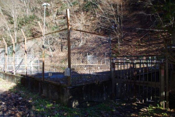 旧小河内小学校(廃校)のプール