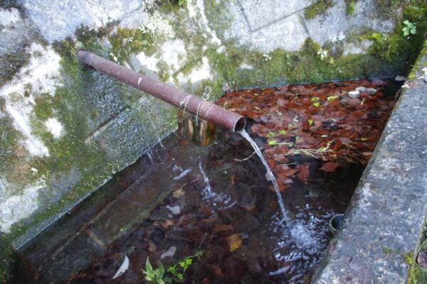 三頭の名水