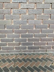 国立国会図書館のタイル