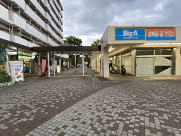 ビッグ・エー 八王子館ヶ丘団地店
