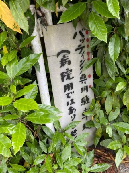 高尾バッティングスタジアム