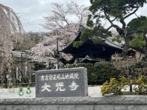 大光寺の桜　八王子　高尾界隈