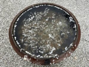 大光寺の桜　八王子　高尾界隈