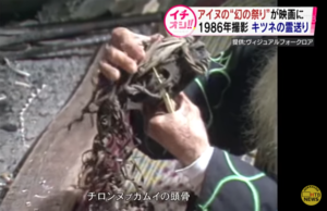 アイヌの「幻の祭り」チロンヌプカムイ イオマンテ(キタキツネの霊送り)