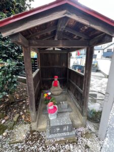 高楽寺のしだれ桜