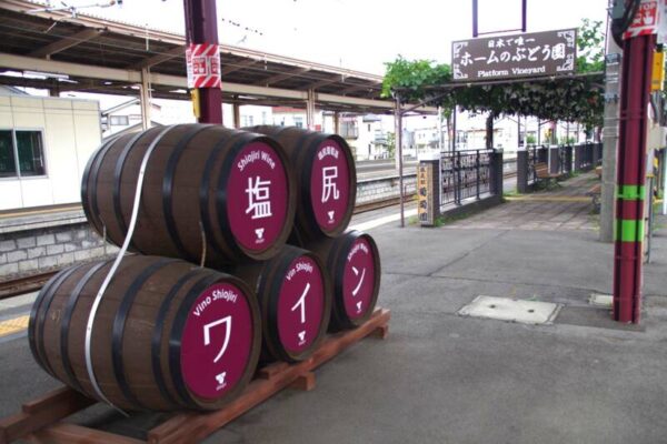 塩尻駅ホームのぶどう園